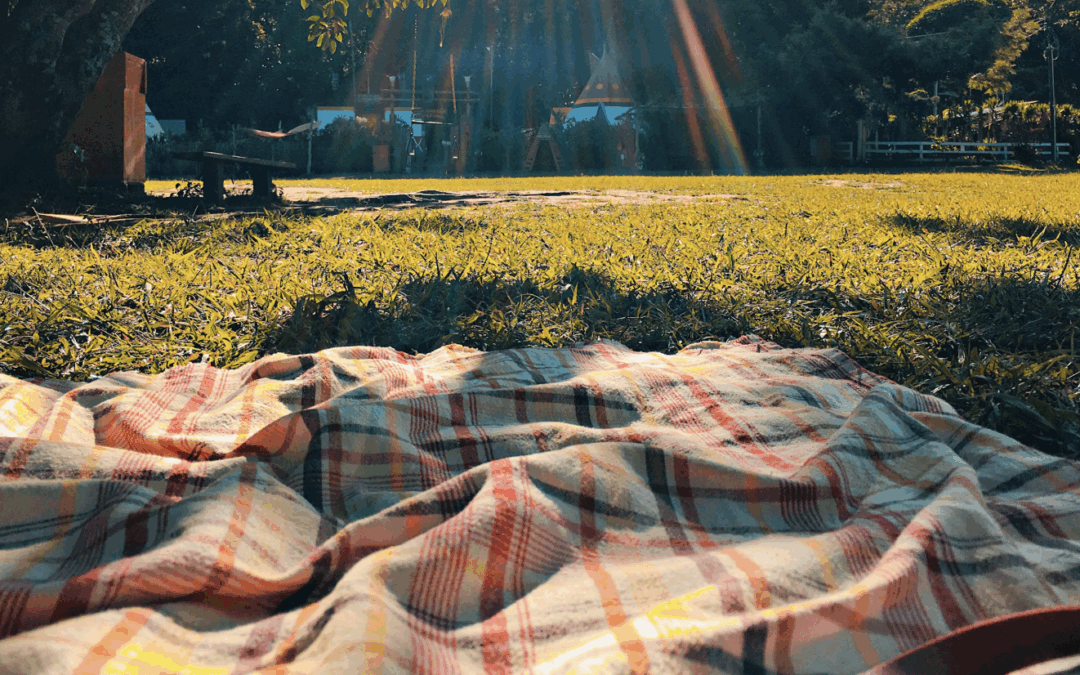 Potluck in the Park